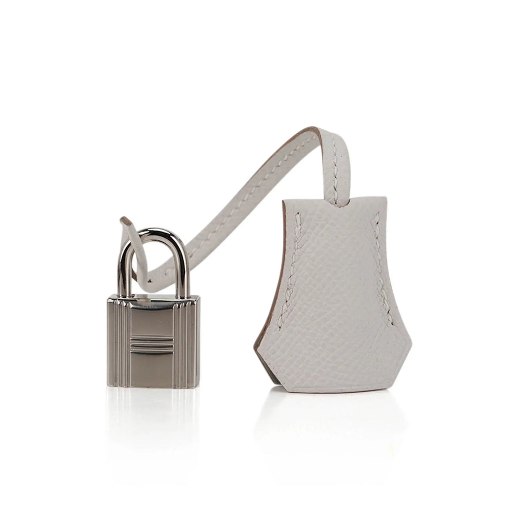 Birkin Sellier 25 Bag Gris Pale Epsom Leather with Palladium Hardware