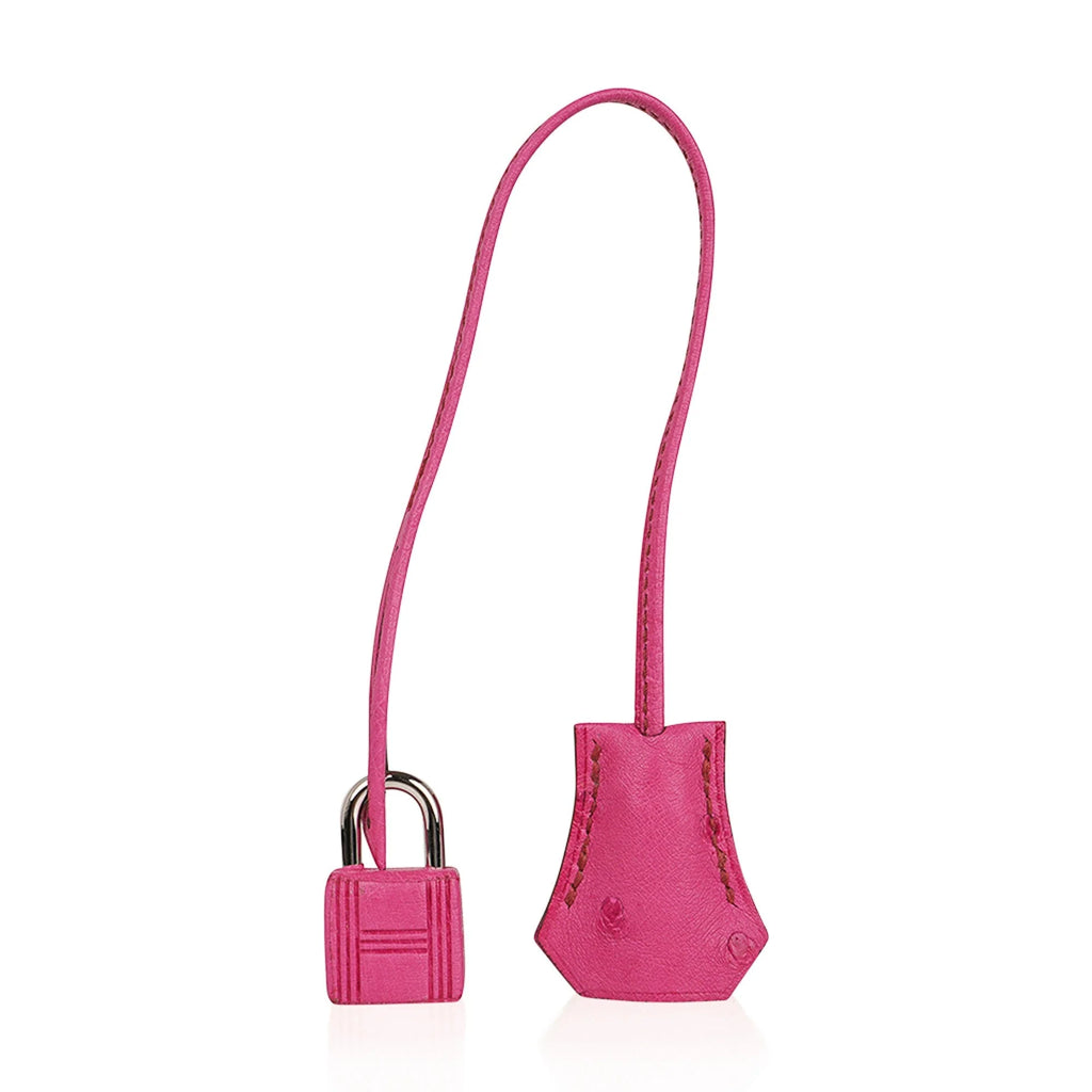 Birkin 35 Bag Fuchsia Ostrich Palladium Hardware