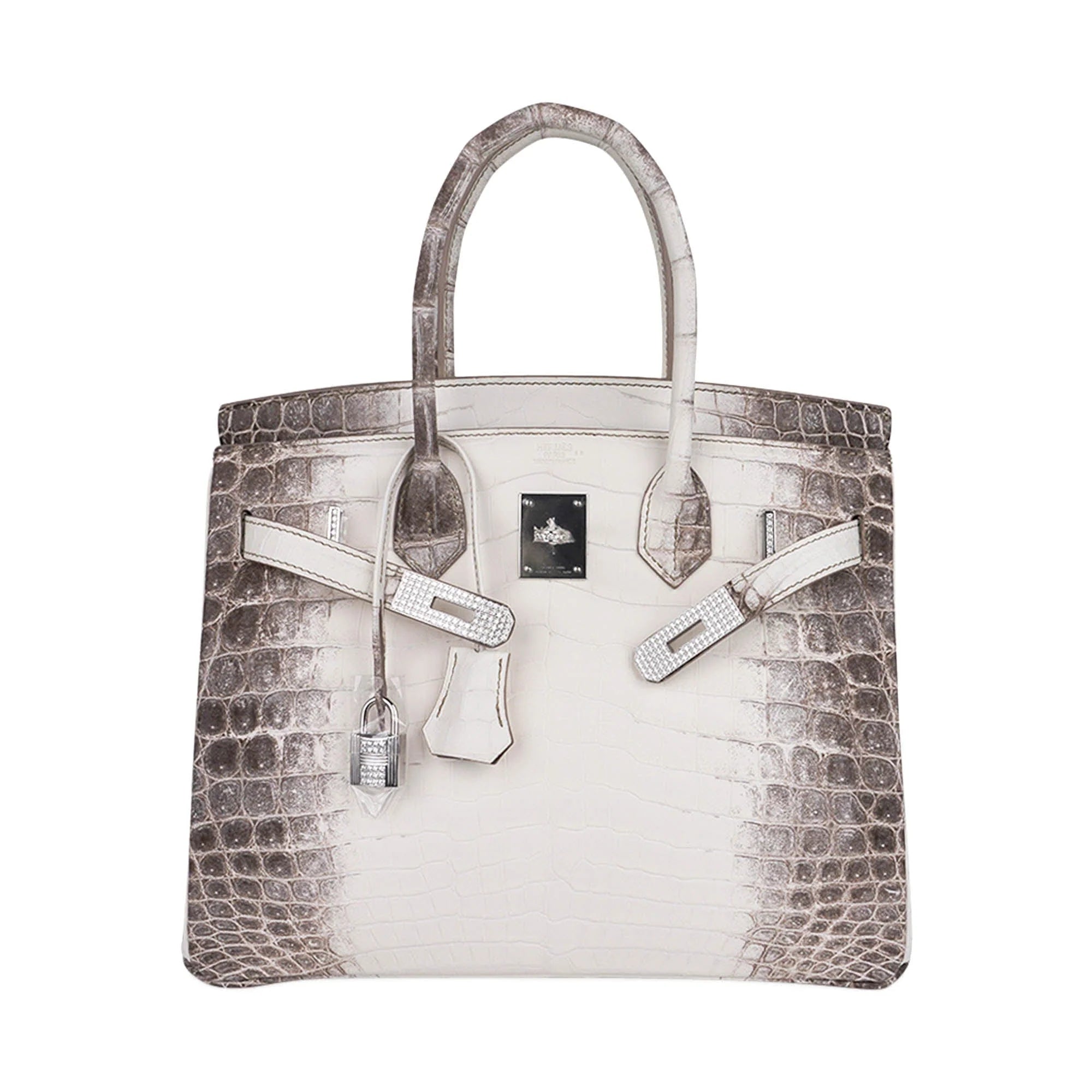Birkin 30 Bag Diamond Himalaya Blanc Matte Niloticus Crocodile with 18k White Gold Hardware