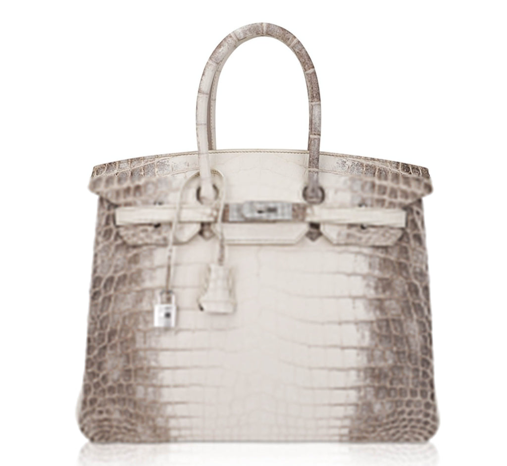 Birkin 35 Diamond Blanc Himalaya Matte Crocodile Limited Edition Bag